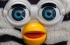 Furby