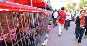 Mendicanti rinchiusi in gabbia