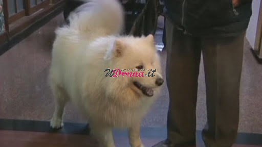 cane tudou