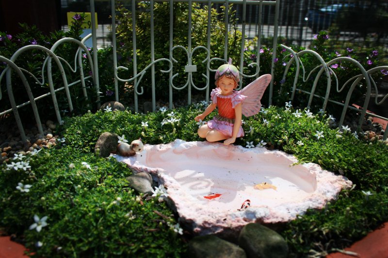 fairy gardens
