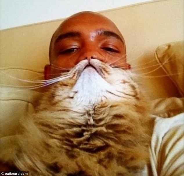 Barba finta fatta con peli di gatto