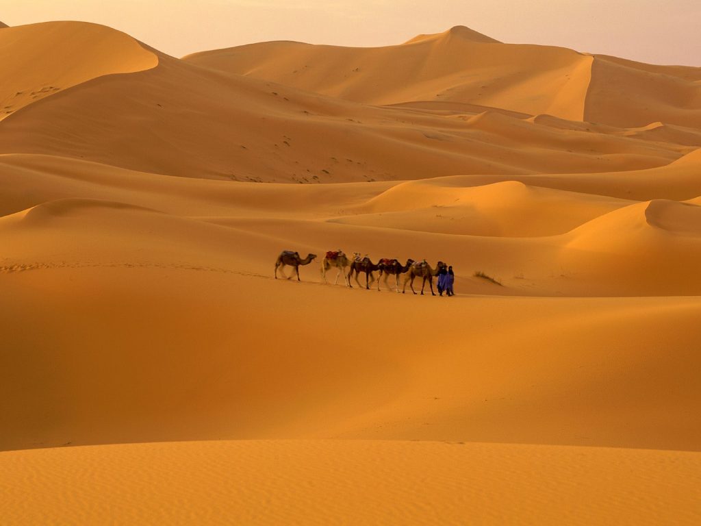 deserto sahara