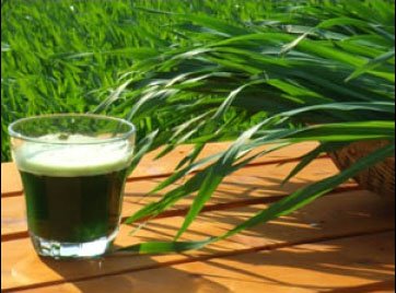 green-magma-verre-herbe-465fx349f