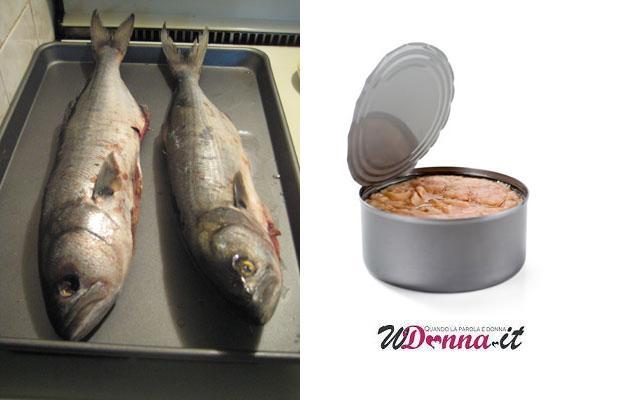 pesce azzurro