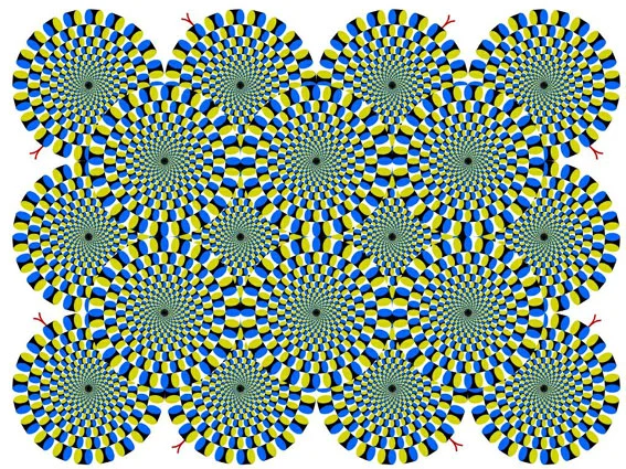 Cosa sono le illusioni ottiche? - WDonna.it