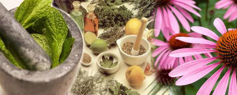 Fitoterapia , medicamenti a base di piante