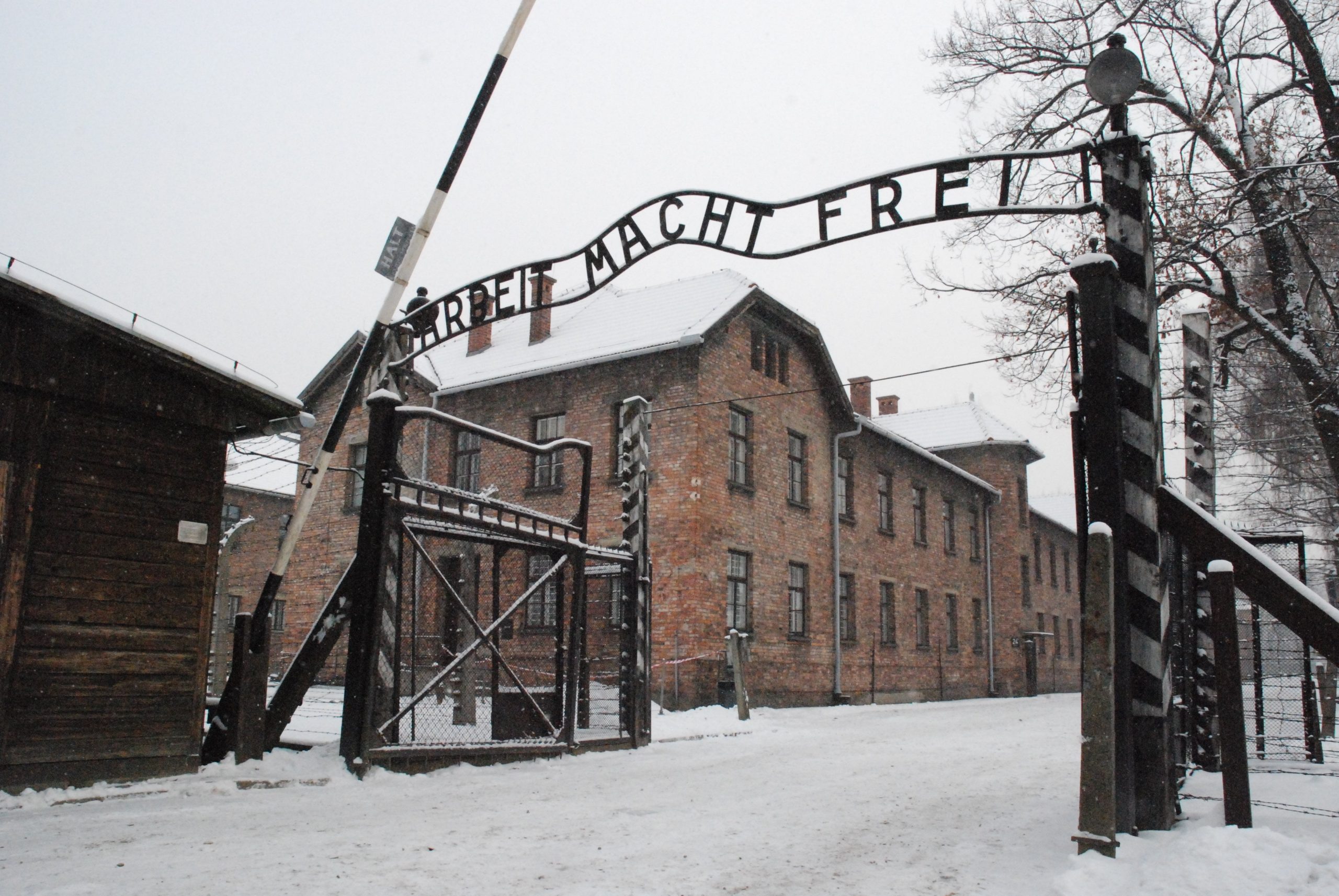 La giornata della memoria, in ricordo di Auschwitz