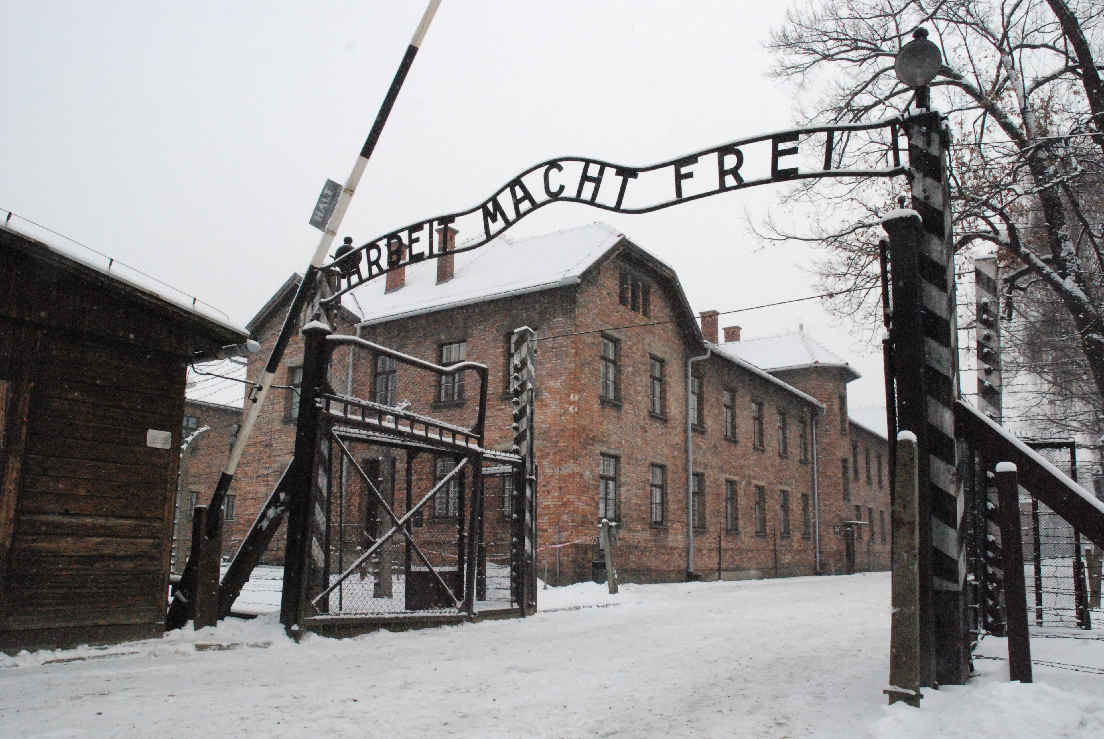 La giornata della memoria, in ricordo di Auschwitz