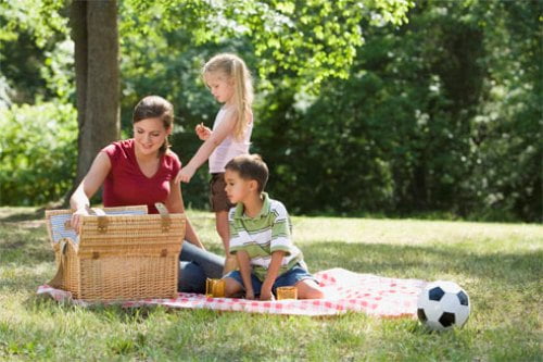 PicNic (1)