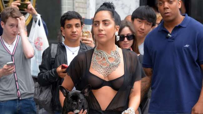lady gaga-
