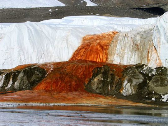 cascata di sangue
