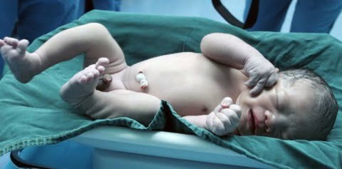 bambino embrioni congelati