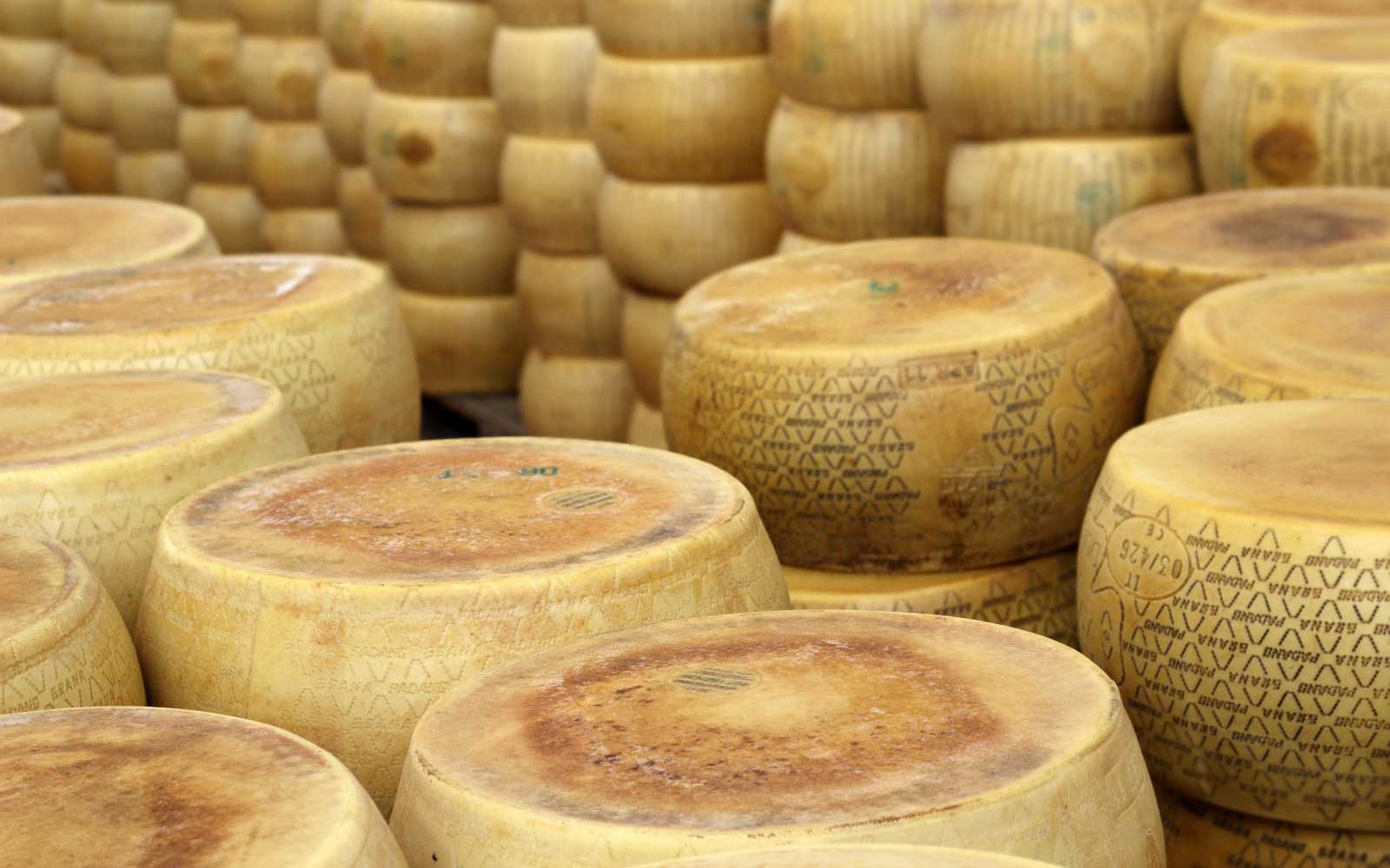 grana-padano-denuncia-essere-animali